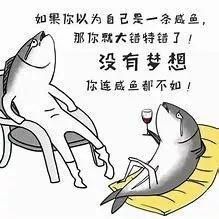 網紅咸魚搶閑置,一場閑置物品的狂歡盛宴