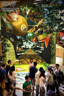 新西蘭奇妙莊園爆料視頻,夢幻田園生活全景展現